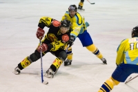 HC Zubr Přerov